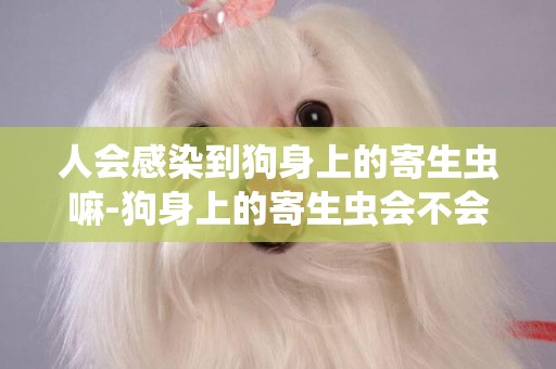 人會感染到狗身上的寄生蟲嘛-狗身上的寄生蟲會不會讓人得病