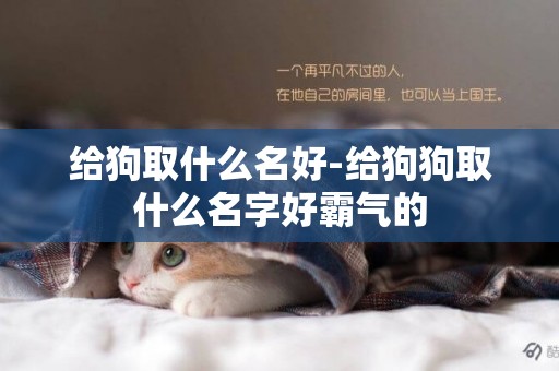 給狗取什么名好-給狗狗取什么名字好霸氣的