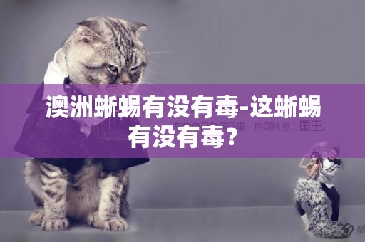 澳洲蜥蜴有沒有毒-這蜥蜴有沒有毒？