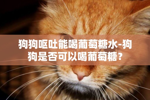 狗狗嘔吐能喝葡萄糖水-狗狗是否可以喝葡萄糖？