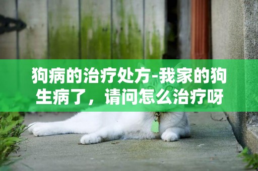 狗病的治療處方-我家的狗生病了，請問怎么治療呀