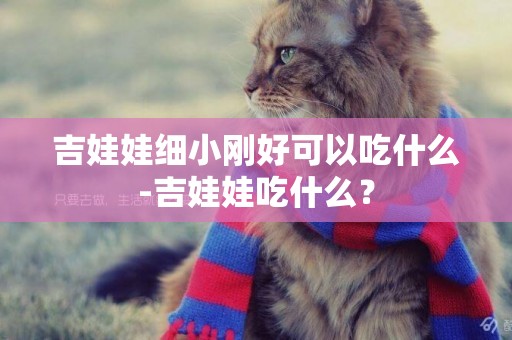 吉娃娃細小剛好可以吃什么-吉娃娃吃什么？