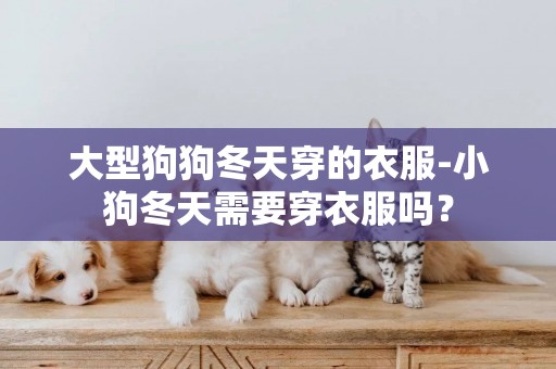 大型狗狗冬天穿的衣服-小狗冬天需要穿衣服嗎？