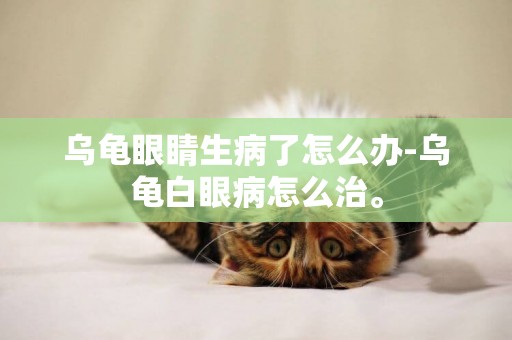 烏龜眼睛生病了怎么辦-烏龜白眼病怎么治。