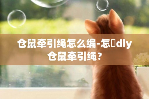 倉鼠牽引繩怎么編-怎麼diy倉鼠牽引繩？