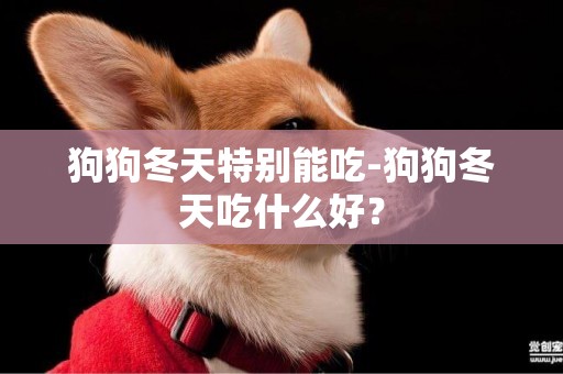 狗狗冬天特別能吃-狗狗冬天吃什么好？