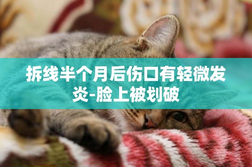 拆線半個月后傷口有輕微發炎-臉上被劃破
