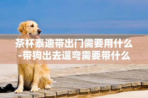 茶杯泰迪帶出門需要用什么-帶狗出去遛彎需要帶什么東西？