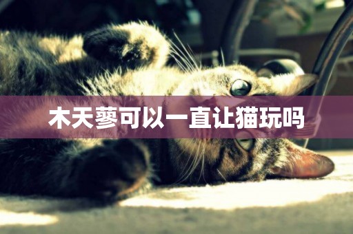 木天蓼可以一直讓貓玩嗎