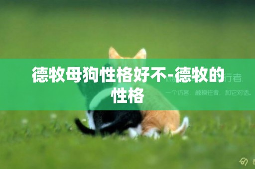 德牧母狗性格好不-德牧的性格