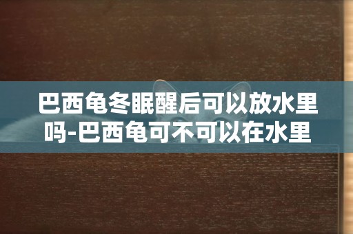 巴西龜冬眠醒后可以放水里嗎-巴西龜可不可以在水里冬眠