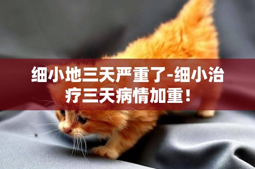 細小地三天嚴重了-細小治療三天病情加重！
