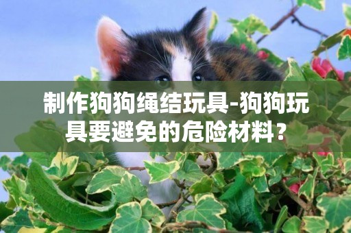 制作狗狗繩結玩具-狗狗玩具要避免的危險材料？