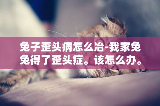 兔子歪頭病怎么冶-我家兔兔得了歪頭癥。該怎么辦。