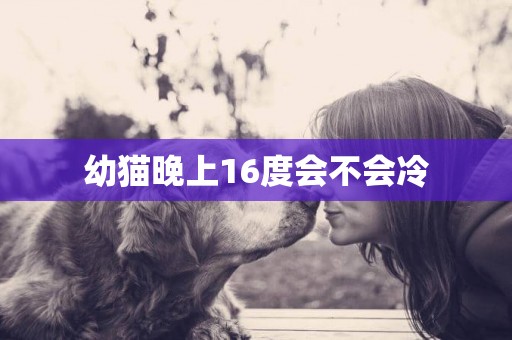 幼貓晚上16度會不會冷