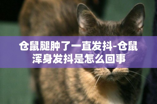 倉鼠腿腫了一直發抖-倉鼠渾身發抖是怎么回事