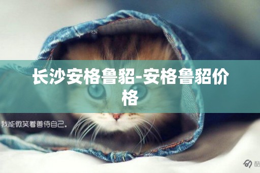 長沙安格魯貂-安格魯貂價格