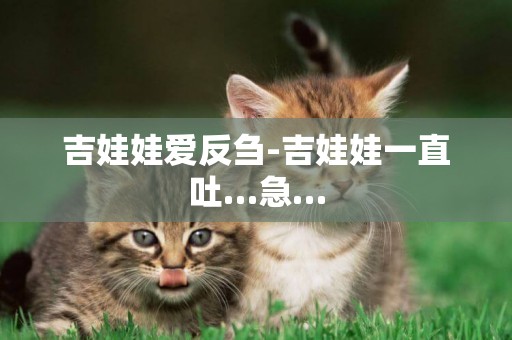 吉娃娃愛反芻-吉娃娃一直吐…急…