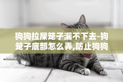 狗狗拉屎籠子漏不下去-狗籠子底部怎么弄,防止狗狗拉屎拉