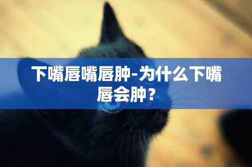下嘴唇嘴唇腫-為什么下嘴唇會腫？