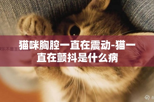 貓咪胸腔一直在震動-貓一直在顫抖是什么病