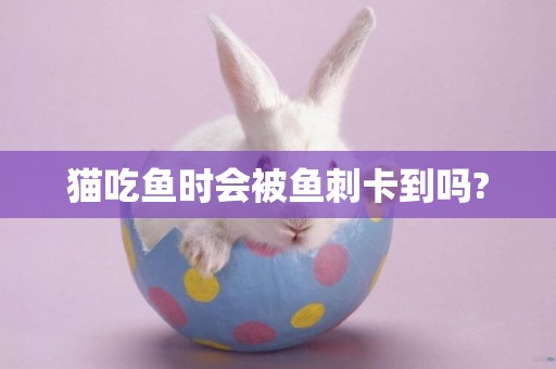 貓吃魚時會被魚刺卡到嗎?