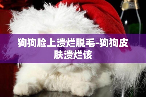 狗狗臉上潰爛脫毛-狗狗皮膚潰爛該