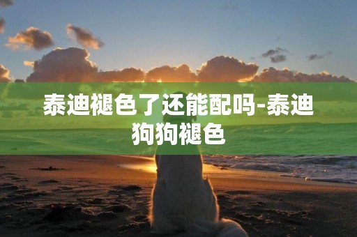 泰迪褪色了還能配嗎-泰迪狗狗褪色