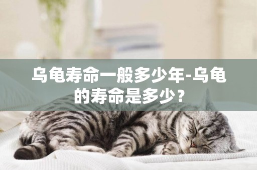 烏龜壽命一般多少年-烏龜的壽命是多少？