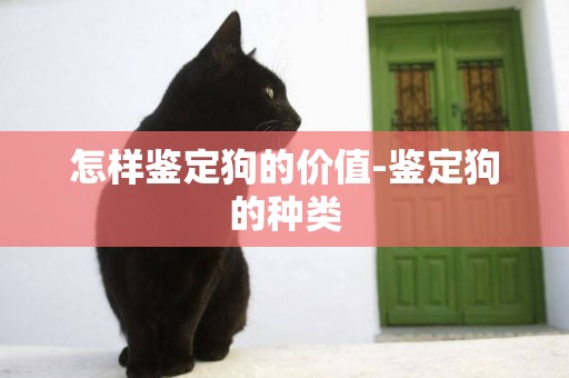 怎樣鑒定狗的價值-鑒定狗的種類