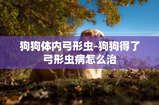 狗狗體內弓形蟲-狗狗得了弓形蟲病怎么治