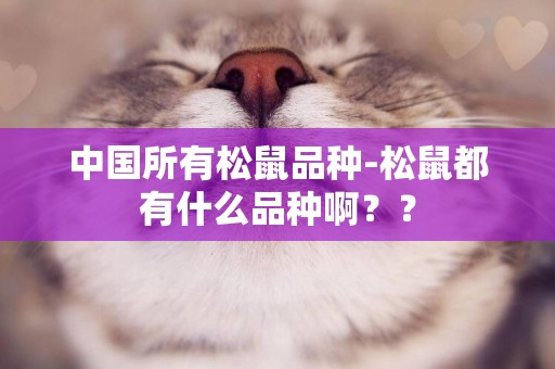 中國所有松鼠品種-松鼠都有什么品種啊？？