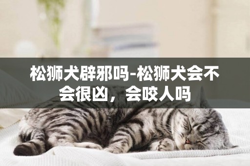 松獅犬辟邪嗎-松獅犬會不會很兇，會咬人嗎