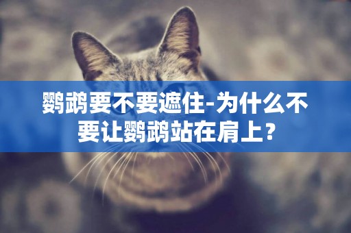 鸚鵡要不要遮住-為什么不要讓鸚鵡站在肩上？