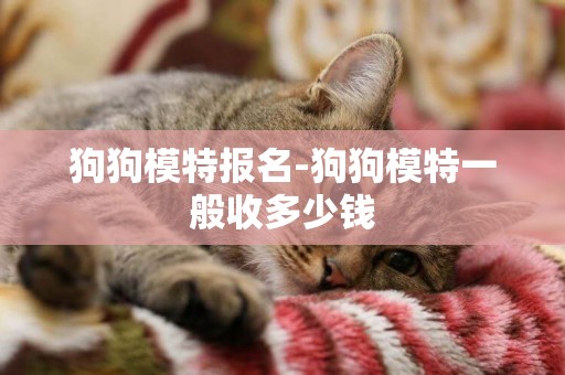 狗狗模特報名-狗狗模特一般收多少錢