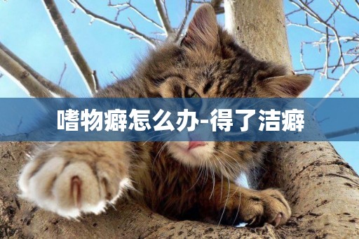 嗜物癖怎么辦-得了潔癖