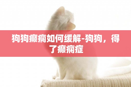 狗狗癲癇如何緩解-狗狗，得了癲癇癥
