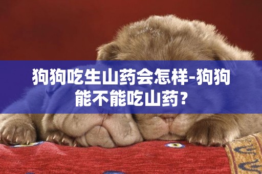 狗狗吃生山藥會怎樣-狗狗能不能吃山藥？