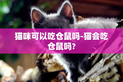 貓咪可以吃倉鼠嗎-貓會吃倉鼠嗎?