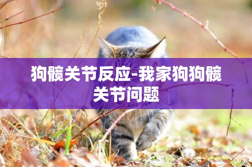 狗髖關節反應-我家狗狗髖關節問題
