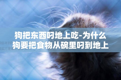 狗把東西叼地上吃-為什么狗要把食物從碗里叼到地上？