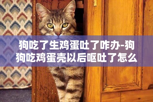 狗吃了生雞蛋吐了咋辦-狗狗吃雞蛋殼以后嘔吐了怎么辦