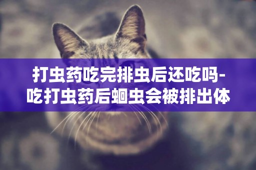 打蟲藥吃完排蟲后還吃嗎-吃打蟲藥后蛔蟲會被排出體外嗎？