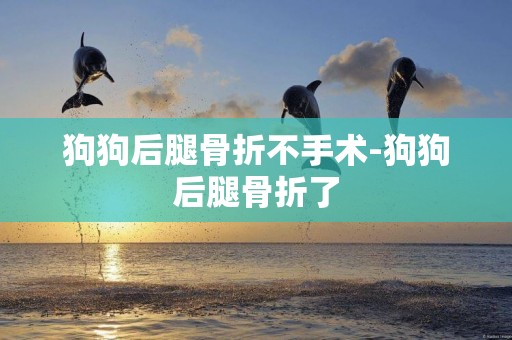 狗狗后腿骨折不手術-狗狗后腿骨折了