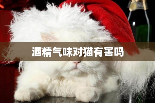 酒精氣味對貓有害嗎