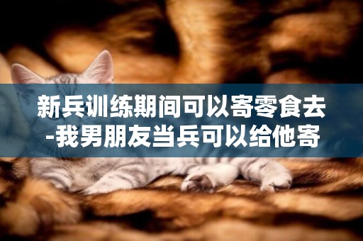 新兵訓練期間可以寄零食去-我男朋友當兵可以給他寄零食嗎