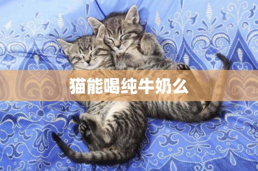 貓能喝純牛奶么