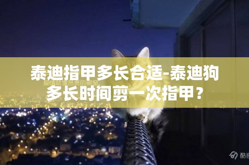 泰迪指甲多長合適-泰迪狗多長時間剪一次指甲？
