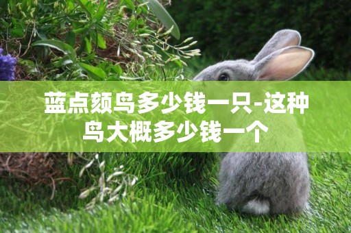 藍點頦鳥多少錢一只-這種鳥大概多少錢一個