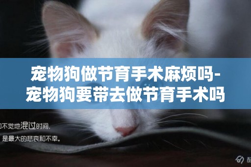 寵物狗做節育手術麻煩嗎-寵物狗要帶去做節育手術嗎？